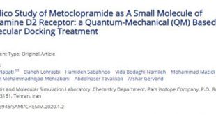 In Silico Study of Metoclopramide as A Small Molecule of Dopamine D2 Receptor